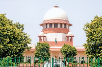 उच्चतम न्यायालय आवारा पशु संबंधी एनएचएआई की याचिका पर सुनवाई के लिए विशेष पीठ गठित करेगा